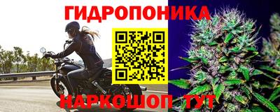 гидропоника Бузулук