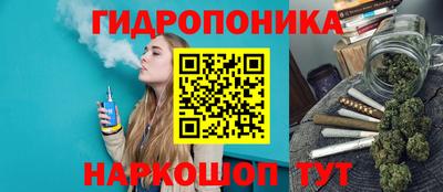 PSILOCYBIN Будённовск